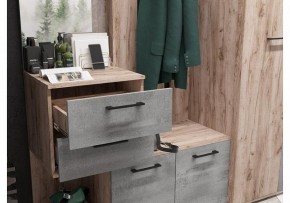 Стенка для прихожей Бостон в Чайковском - chaykovskiy.mebel24.online | фото 4