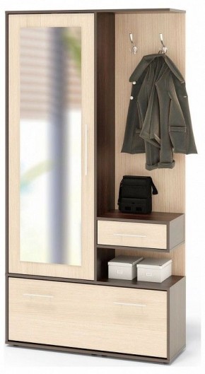 Стенка для прихожей ВШ-6 в Чайковском - chaykovskiy.mebel24.online | фото