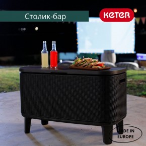 Стол Беви Бар (Bevy Bar Large Cool Bar), графит в Чайковском - chaykovskiy.mebel24.online | фото 4