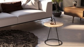 Стол журнальный SHT-CT36 в Чайковском - chaykovskiy.mebel24.online | фото 5