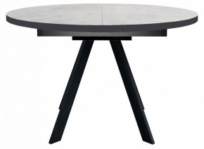 Стол обеденный RD100 в Чайковском - chaykovskiy.mebel24.online | фото