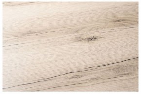Стол обеденный Тринити Лофт в Чайковском - chaykovskiy.mebel24.online | фото 5