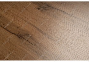 Стол письменный Битти Лофт в Чайковском - chaykovskiy.mebel24.online | фото 5