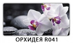 Стол раздвижной Бриз кофе Доска D110 в Чайковском - chaykovskiy.mebel24.online | фото 14