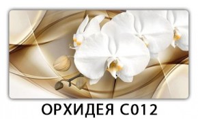 Стол раздвижной Трилогия с фотопечатью Доска D113 в Чайковском - chaykovskiy.mebel24.online | фото 13