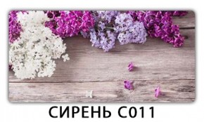 Стол раздвижной Трилогия с фотопечатью Доска D113 в Чайковском - chaykovskiy.mebel24.online | фото 16