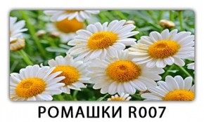 Стол раздвижной Трилогия с фотопечатью Лайм R156 в Чайковском - chaykovskiy.mebel24.online | фото 15
