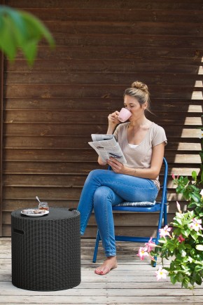 Столик-холодильник Кул-Стул (Cool stool) графит в Чайковском - chaykovskiy.mebel24.online | фото 1