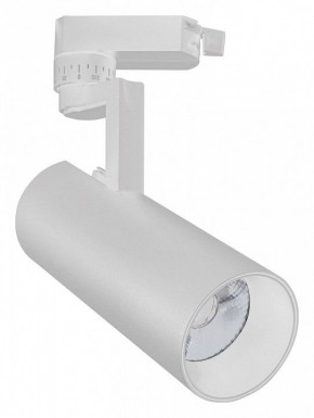 Светильник на штанге Escada 20029 20029TRA/02LED SWH в Чайковском - chaykovskiy.mebel24.online | фото