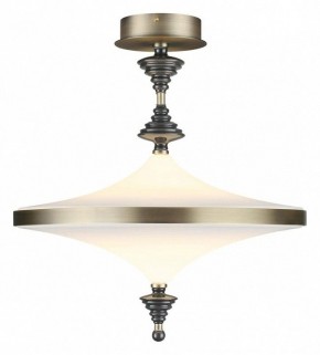 Светильник на штанге Odeon Light Ula 5404/43CL в Чайковском - chaykovskiy.mebel24.online | фото 2