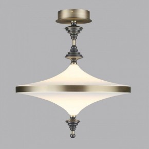 Светильник на штанге Odeon Light Ula 5404/43CL в Чайковском - chaykovskiy.mebel24.online | фото 3