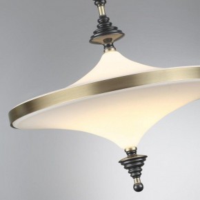 Светильник на штанге Odeon Light Ula 5404/43CL в Чайковском - chaykovskiy.mebel24.online | фото 6