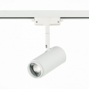 Светильник на штанге ST-Luce Zoom ST600.546.12 в Чайковском - chaykovskiy.mebel24.online | фото 3