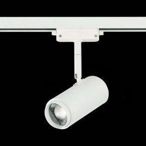 Светильник на штанге ST-Luce Zoom ST600.546.12 в Чайковском - chaykovskiy.mebel24.online | фото 5