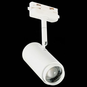 Светильник на штанге ST-Luce Zoom ST600.546.12 в Чайковском - chaykovskiy.mebel24.online | фото 6