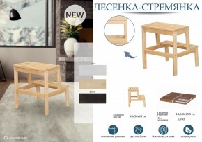 Табурет Стремянка в Чайковском - chaykovskiy.mebel24.online | фото 4