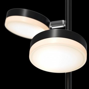 Торшер Maytoni Fad MOD070FL-L12B3K в Чайковском - chaykovskiy.mebel24.online | фото