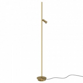 Торшер Maytoni Thin MOD395FL-L28BS3K в Чайковском - chaykovskiy.mebel24.online | фото