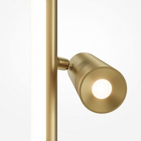 Торшер Maytoni Thin MOD395FL-L28BS3K в Чайковском - chaykovskiy.mebel24.online | фото 5