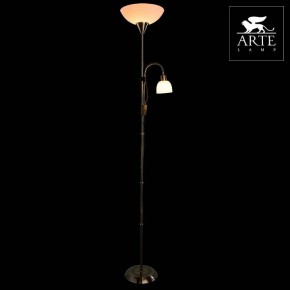 Торшер с подсветкой Arte Lamp Duetto A9569PN-2AB в Чайковском - chaykovskiy.mebel24.online | фото 3