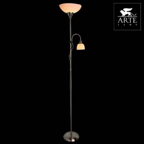 Торшер с подсветкой Arte Lamp Duetto A9569PN-2SS в Чайковском - chaykovskiy.mebel24.online | фото 3