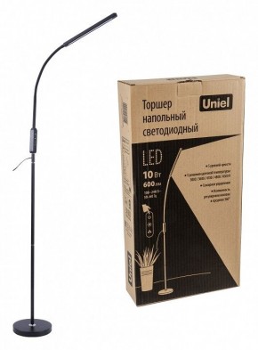 Торшер Uniel ULM-T619 UL-00010178 в Чайковском - chaykovskiy.mebel24.online | фото 4