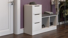 Тумба для обуви Тип 14 в Чайковском - chaykovskiy.mebel24.online | фото 5