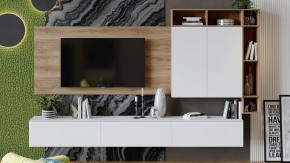 Тумба под ТВ Порто ТД-393.03.12 в Чайковском - chaykovskiy.mebel24.online | фото 6