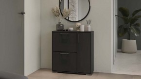 Тумбочка для обуви Тип 15 в Чайковском - chaykovskiy.mebel24.online | фото 5