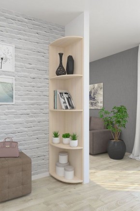 Угловой элемент ЛДСП 1 кат. в Чайковском - chaykovskiy.mebel24.online | фото 4