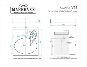 Умывальник над стиральной машиной (600*545*80) Смайл V55D1 (белый) с кронштейном без сифона (V55D1) в Чайковском - chaykovskiy.mebel24.online | фото 2
