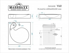 Умывальник над стиральной машиной (600*600х100) Лилия V60 (белый) с кронштейном без сифона (V60) в Чайковском - chaykovskiy.mebel24.online | фото 2