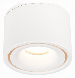 Встраиваемый светильник на штанге ST-Luce ST652 ST652.548.12 в Чайковском - chaykovskiy.mebel24.online | фото 3